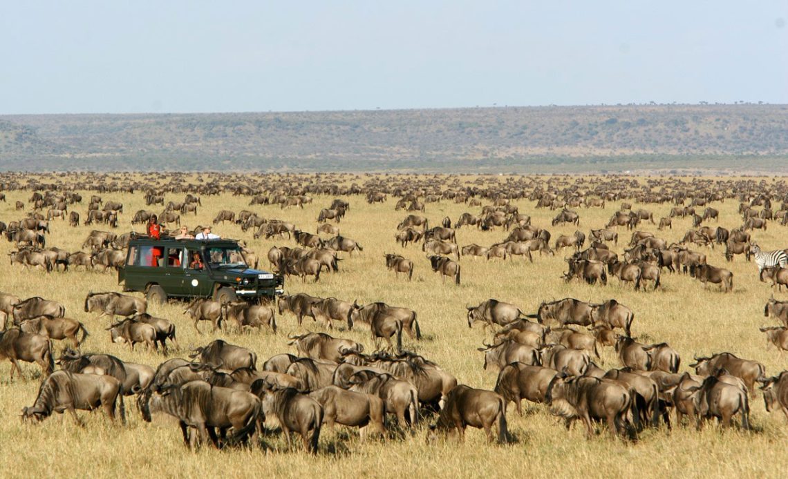 Journey through the Masai Mara National Reserve, Kenya