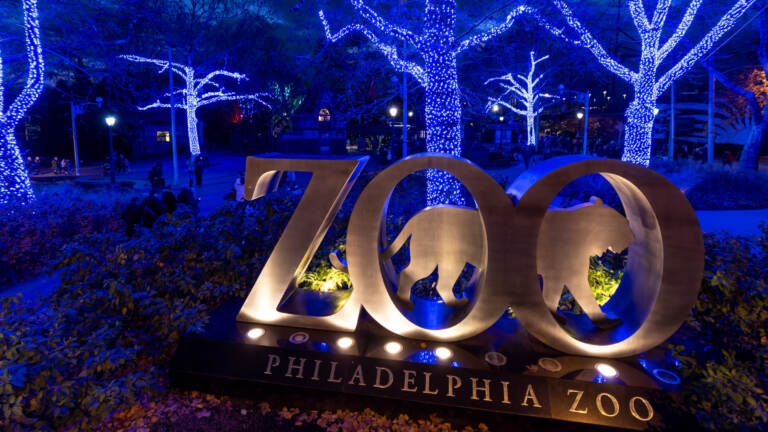 Visiting Philadelphia’s Zoo: An Unforgettable Wildlife Adventure