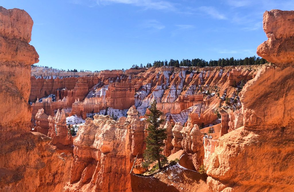 Colors of the Canyon