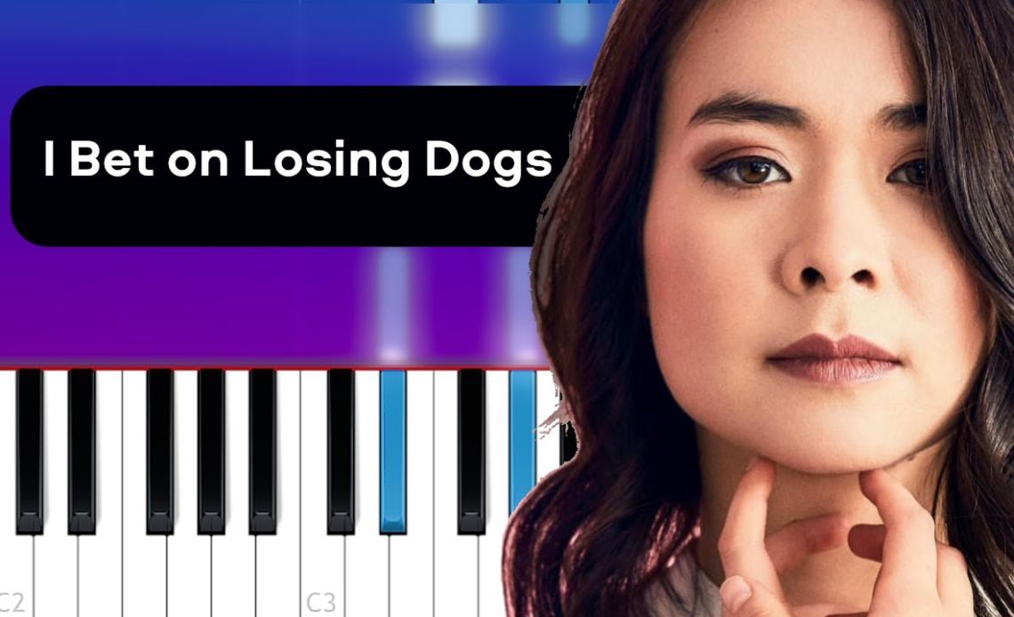 I Bet on Losing Dogs Lyrics - Mitski