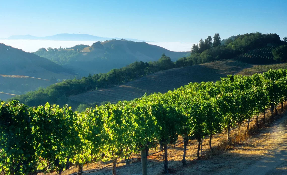 Things To Do in Napa Valley, California An Ethereal Adventure