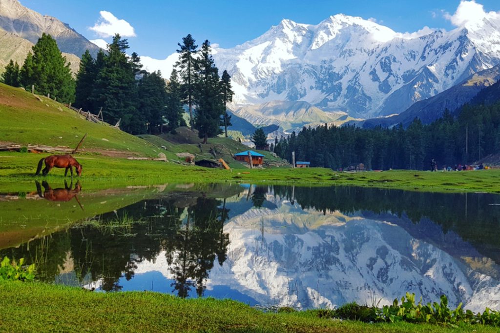 Visiting Fairy Meadows Trek & Nanga Parbat Base Camp