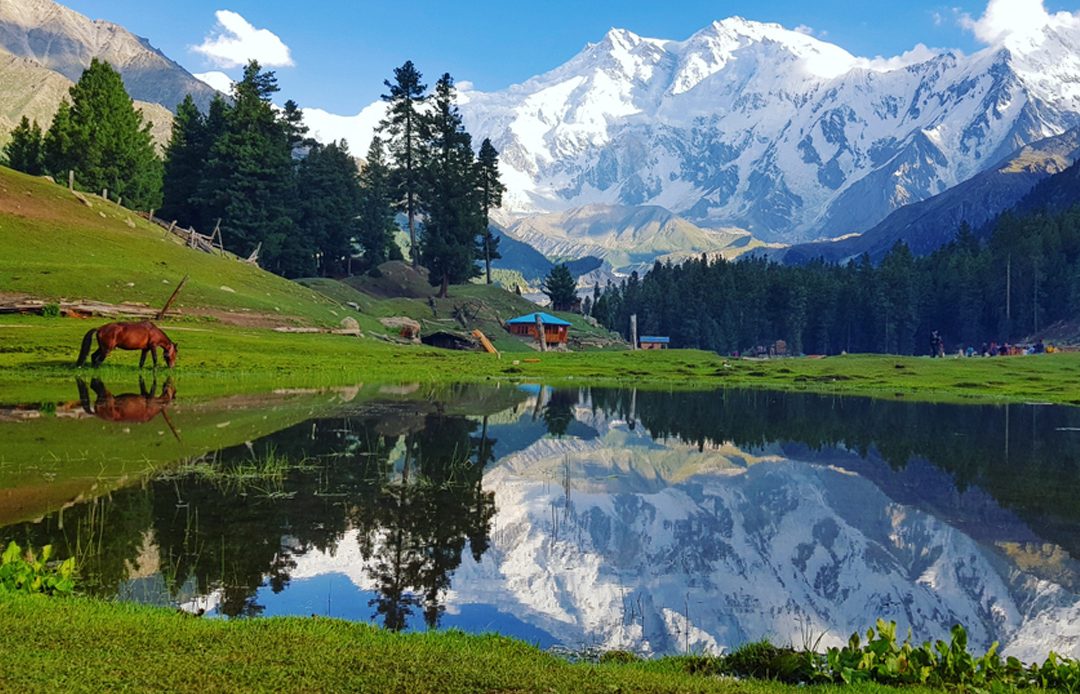 Visiting Fairy Meadows Trek & Nanga Parbat Base Camp