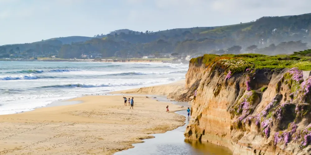 Coastal Wonders of California Half Moon Bay