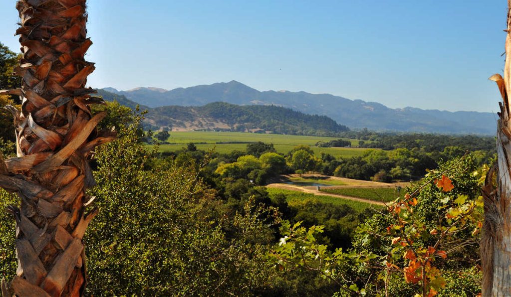 Day Trip to Napa Valley of Scenic Views & Fine Wines