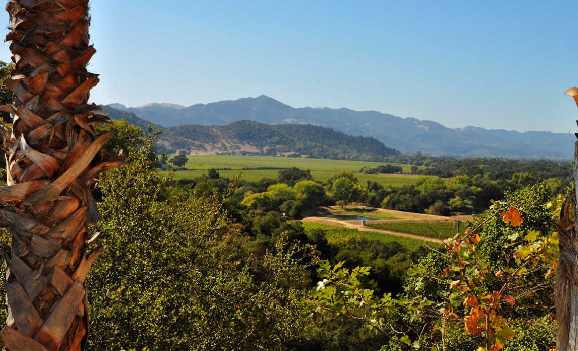 Day Trip to Napa Valley of Scenic Views & Fine Wines