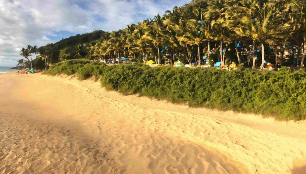 Sun, Sand and Serenity: Why You Should Be Visiting Blind Creek Beach in Florida