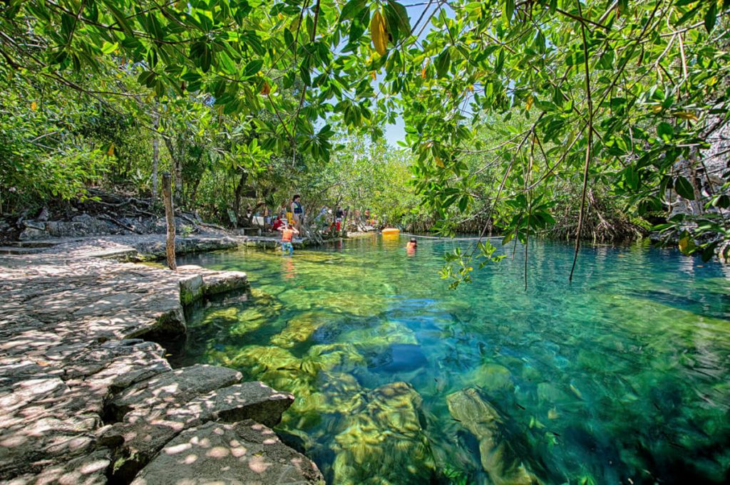 Visiting Cenote Cristalino in Mexico: Why It's a Must-See for Travelers