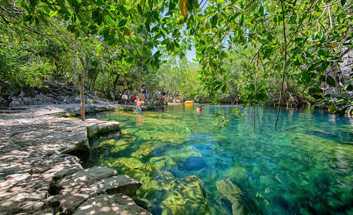 Visiting Cenote Cristalino in Mexico: Why It's a Must-See for Travelers