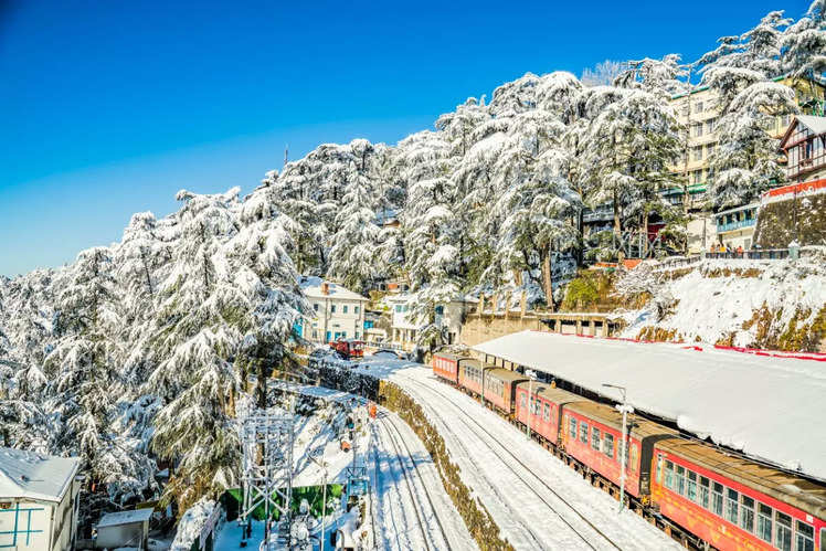 Serene Walks Through the Valley of Shimla