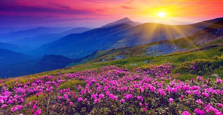 Valley of Flowers Trek, Uttarakhand